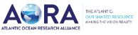 AORA logo